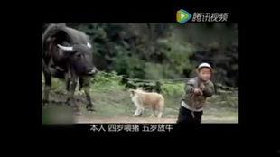 吃瓜内涵段子搞笑视频