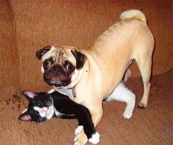 面子哥吃瓜,揭秘娱乐圈背后的那些事儿