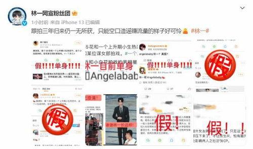 吃瓜粉丝团,娱乐圈幕后风云的见证者