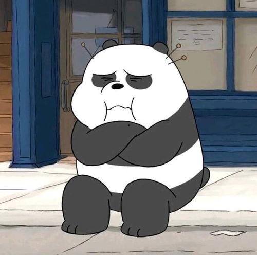 吃瓜熊表情,揭秘网络热梗背后的趣味与智慧