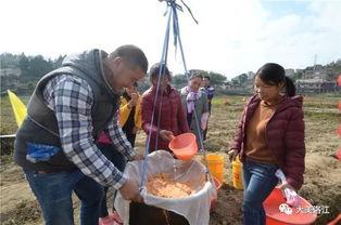 临山吃瓜事件,一场引发社会热议的“瓜农维权”风波