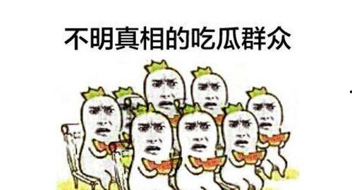 吵架吃瓜群众拱火