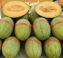 吃蜜瓜的好坏处,食用需注意的细节