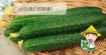 吃瓜什么季节吃最好,吃瓜正当时——夏季瓜果盛宴指南