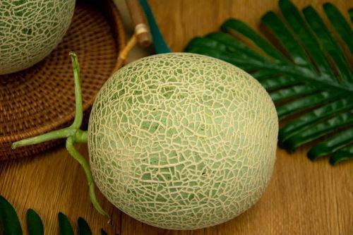 发烧可以吃网纹瓜吗,适宜还是禁忌？