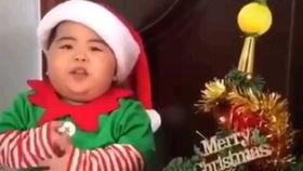 情感吃瓜木子,木子带你领略人间烟火