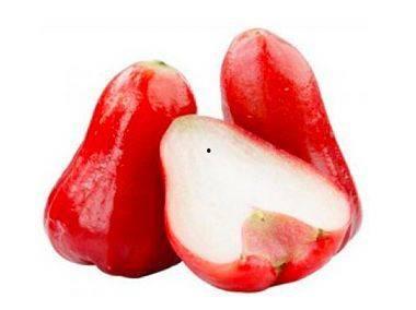 莲雾吃瓜地址,探寻美食新天地