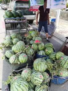 福建热门吃瓜事件,揭秘最新热门吃瓜事件背后的真相