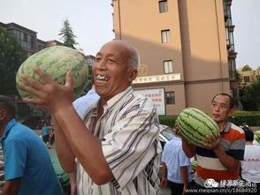 现场吃瓜的照片图片,捕捉夏日街头趣味瞬间