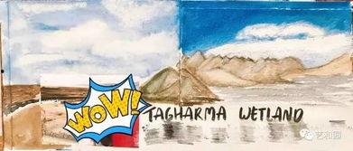 朝阳吃瓜群众2046,朝阳吃瓜群众眼中的未来世界