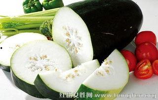 防胖吃瓜的神器,尽享美味——揭秘防胖吃瓜的神器秘籍