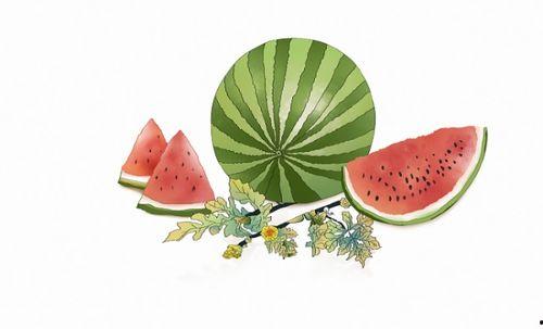 吃瓜比例是多少,揭秘吃瓜群众的神秘比例之谜