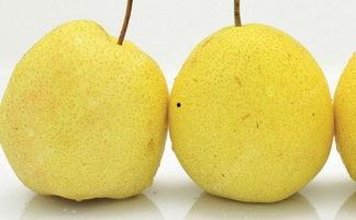 减肥可以吃雪梨瓜吗,美味与健康的完美结合