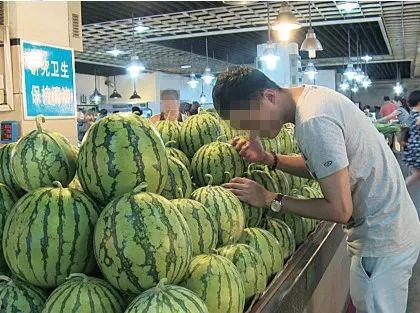 吃瓜挑瓜看瓜,吃瓜挑瓜看瓜，轻松掌握瓜事全貌