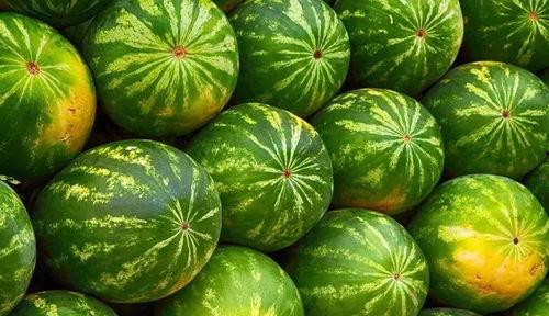 吃瓜挑瓜看瓜,吃瓜挑瓜看瓜，轻松掌握瓜事全貌