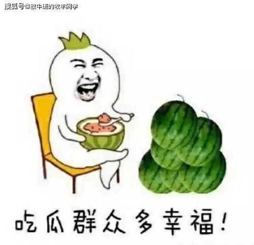 搞事业vs吃瓜,事业奋斗者与吃瓜群众的平行世界