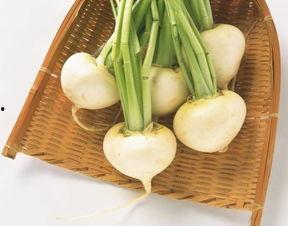 夏瓜咋吃,夏瓜的多样美味吃法探索