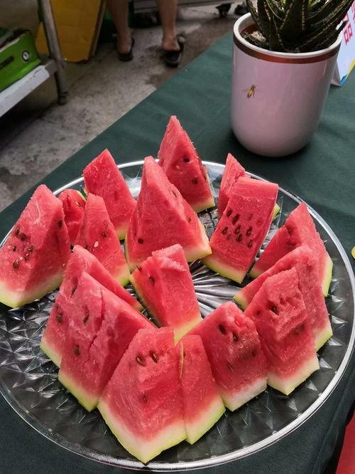 吃瓜争霸赛镜头,镜头下的瓜界风云录