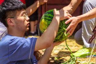 疯马大后续吃瓜,揭秘娱乐圈的瓜田秘闻