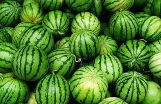 吃瓜群认准瓜闻天下,吃瓜群揭秘娱乐圈最新动态