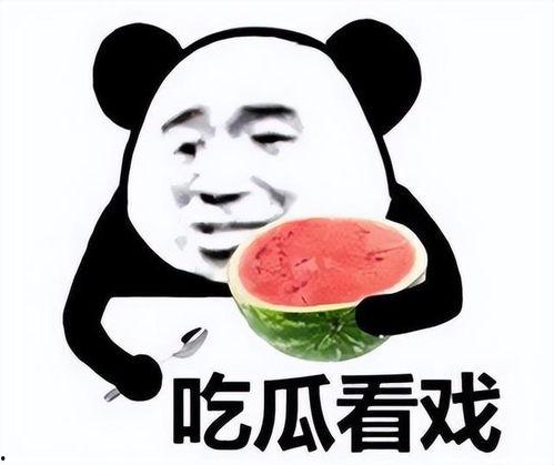吃瓜累了表情包,揭秘“吃瓜累了”表情包背后的心声