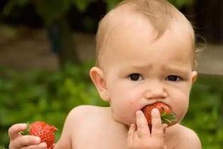 小孩作死吃瓜视频