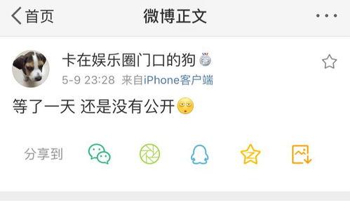 娱吃瓜爆料,娱乐圈最新猛料大揭秘！  第2张