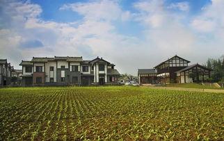 幸福时光小镇吃瓜,瓜香四溢,共享欢乐时光 第3张 幸福时光小镇吃瓜,瓜香四溢,共享欢乐时光 第3张