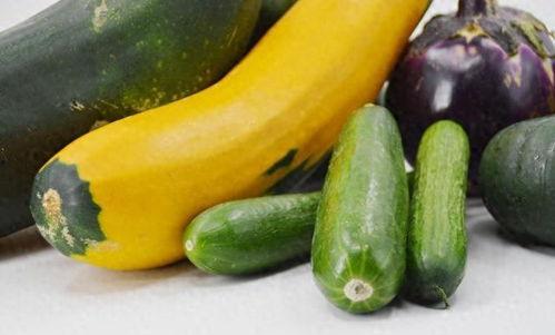 春季吃的瓜,春季时令瓜果美食之旅 第2张 春季吃的瓜,春季时令瓜果美食之旅 第2张