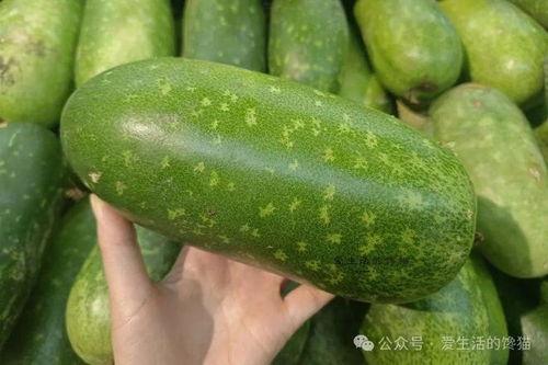 春季吃的瓜,春季时令瓜果美食之旅 第3张 春季吃的瓜,春季时令瓜果美食之旅 第3张