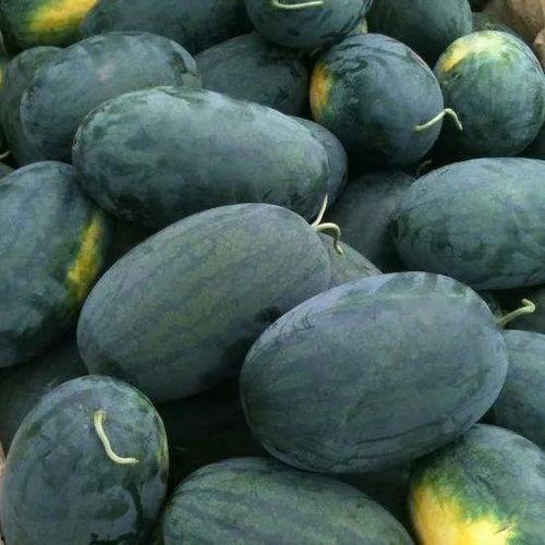 仙桃直播间吃瓜,一场吃瓜盛宴，揭秘网红幕后故事