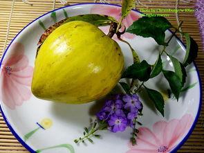 仙桃直播间吃瓜,一场吃瓜盛宴,揭秘网红幕后故事 第2张 仙桃直播间吃瓜,一场吃瓜盛宴,揭秘网红幕后故事 第2张