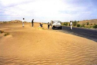 伊犁的吃瓜事件,一场引发热议的夏日奇谈 第1张 伊犁的吃瓜事件,一场引发热议的夏日奇谈 第1张