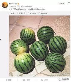 吃瓜黑了网,网络舆论场中的热点追踪与真相探寻  第2张