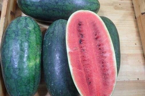 吃瓜黑了网,网络舆论场中的热点追踪与真相探寻  第3张