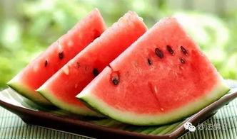 抛肺吃瓜,揭秘网络热词背后的文化现象  第3张