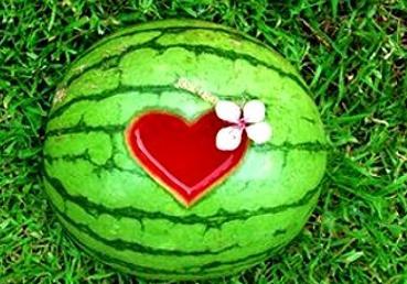 仲夏绮梦吃瓜,一场吃瓜盛宴的奇幻之旅  第1张