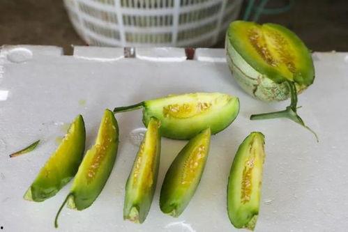 仲夏绮梦吃瓜,一场吃瓜盛宴的奇幻之旅  第3张