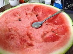 最新51爆料吃瓜  第1张