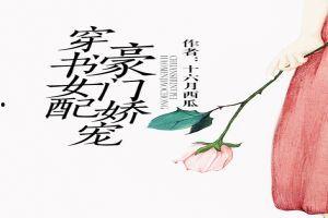 吃瓜穿书小说  第3张