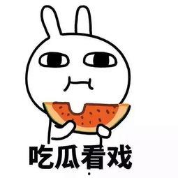 可以吃前任的瓜,揭秘那些可以吃掉的甜蜜瓜葛  第3张