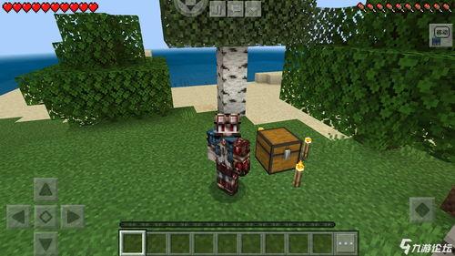 小金吃瓜我的世界