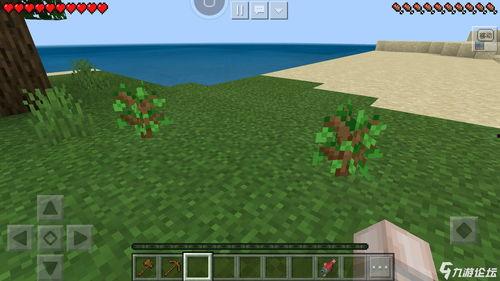 小金吃瓜我的世界  第2张