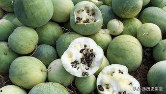 吃瓜群众陪瓜子,揭秘娱乐圈幕后故事