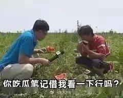 传播吃瓜事件,揭秘吃瓜事件的传播与影响  第1张