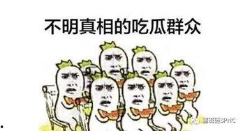 吃瓜群众看蛇  第1张
