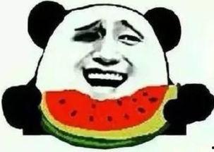 吃瓜群众看蛇  第2张