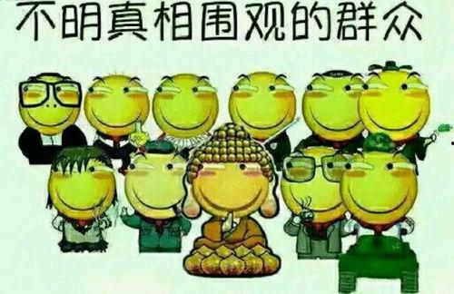 吃瓜群众看蛇  第3张