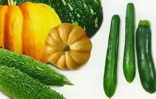 小蕃瓜怎么吃,探索美味新境界  第2张