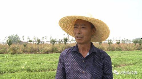 江苏沭阳吃瓜,瓜果飘香，品味田园生活新篇章  第2张
